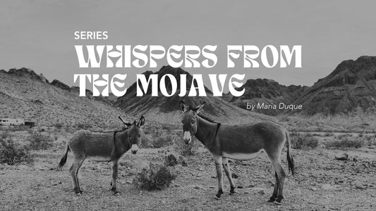 SERIES: WHISPERS FROM THE MOJAVE