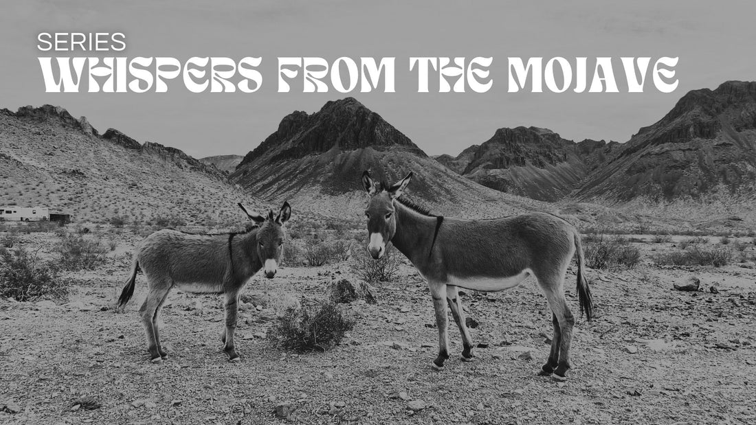 Series: Whispers from the Mojave