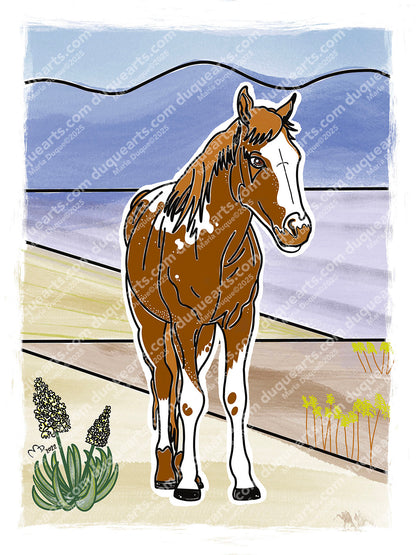 Full Digital Collection: Whispers From The Mojave
