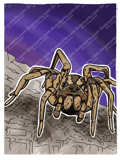 Full Digital Collection: Whispers From The Mojave